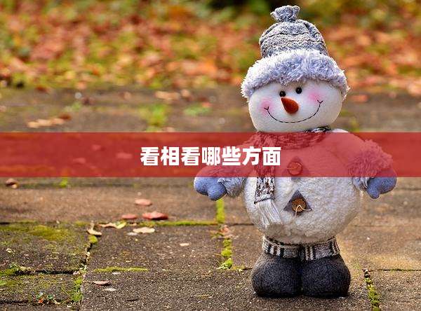 看相看哪些方面