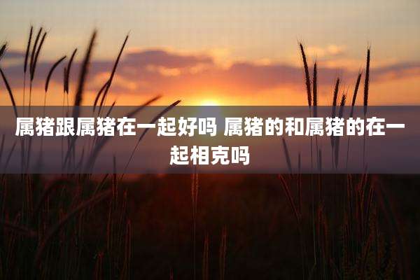 属猪跟属猪在一起好吗 属猪的和属猪的在一起相克吗