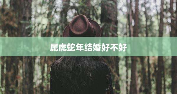 属虎蛇年结婚好不好