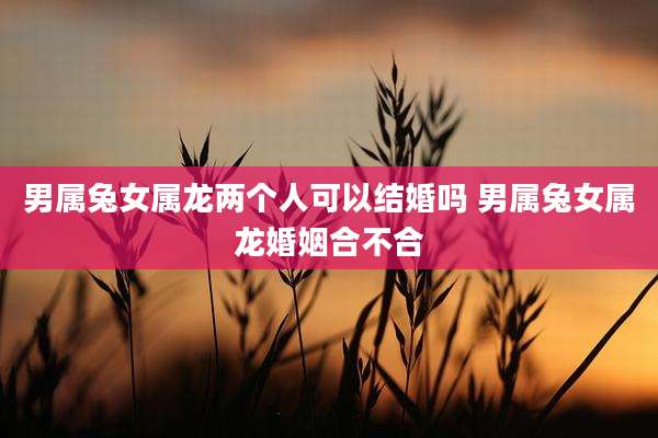 男属兔女属龙两个人可以结婚吗 男属兔女属龙婚姻合不合
