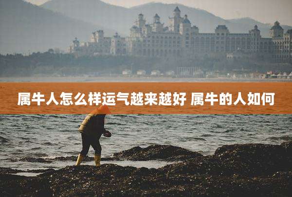 属牛人怎么样运气越来越好 属牛的人如何