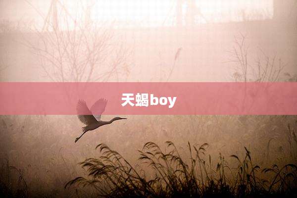 天蝎boy
