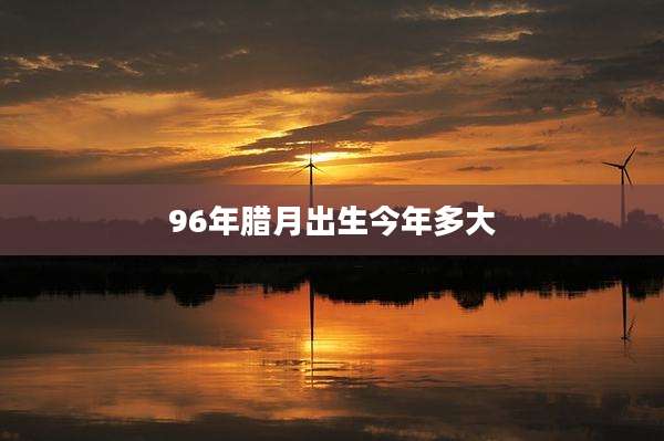 96年腊月出生今年多大