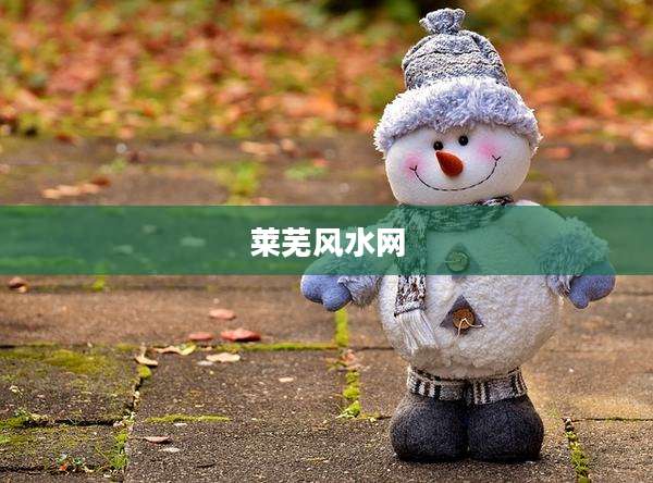 莱芜风水网