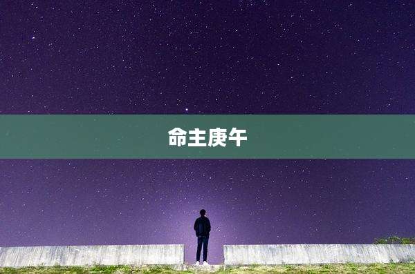 命主庚午