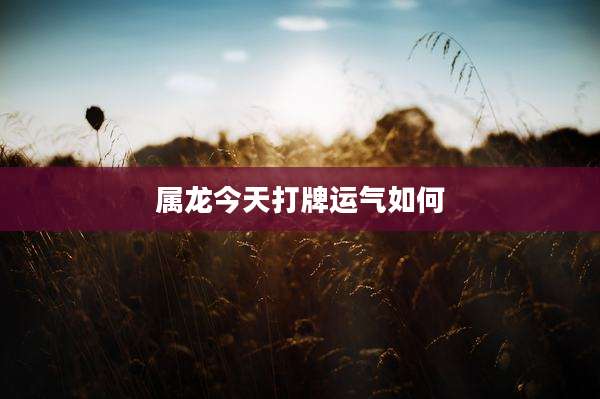属龙今天打牌运气如何