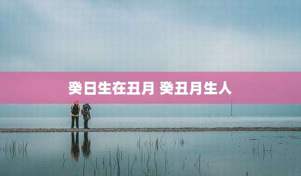 癸日生在丑月 癸丑月生人