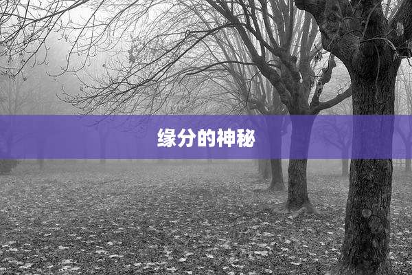 缘分的神秘