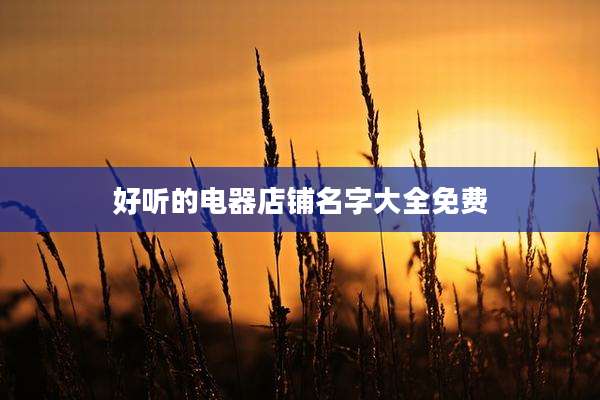 好听的电器店铺名字大全免费
