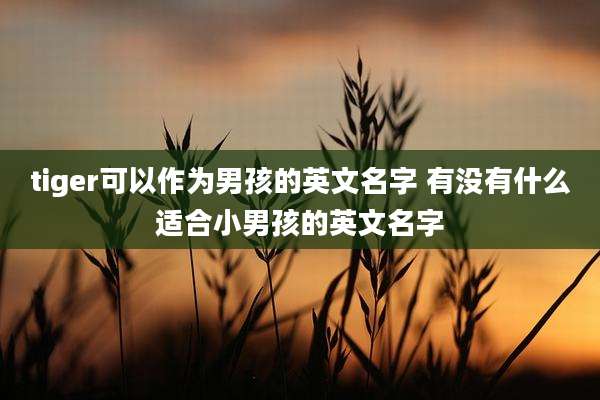 tiger可以作为男孩的英文名字 有没有什么适合小男孩的英文名字