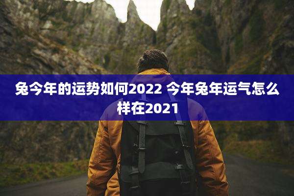 兔今年的运势如何2022 今年兔年运气怎么样在2021