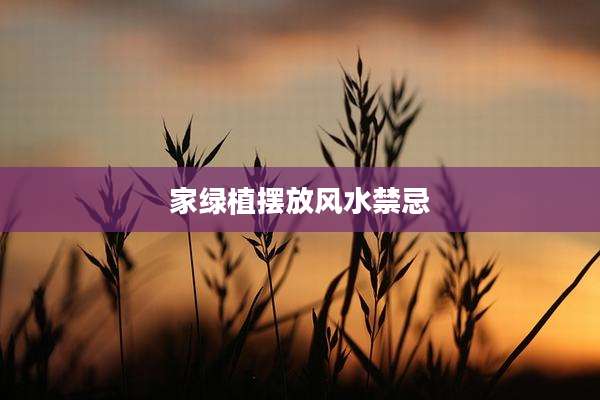 家绿植摆放风水禁忌