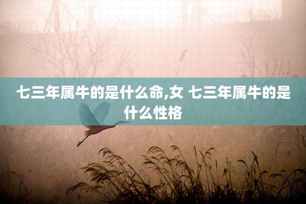 七三年属牛的是什么命,女 七三年属牛的是什么性格