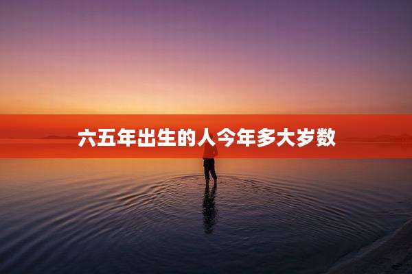 六五年出生的人今年多大岁数