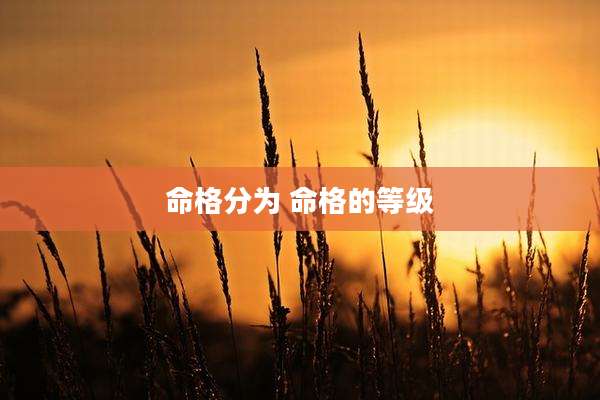 命格分为 命格的等级