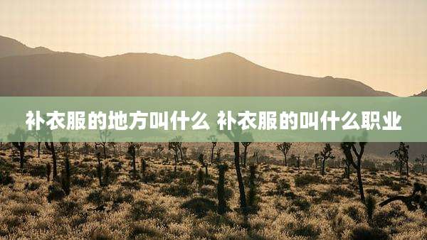 补衣服的地方叫什么 补衣服的叫什么职业
