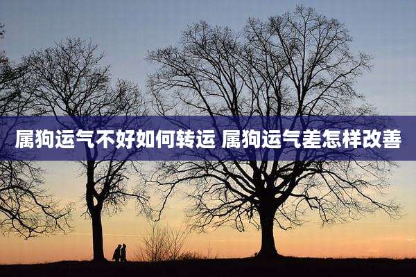 属狗运气不好如何转运 属狗运气差怎样改善