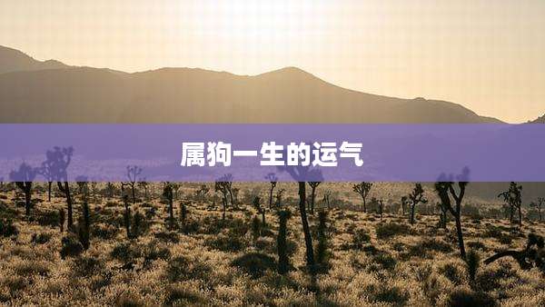 属狗一生的运气