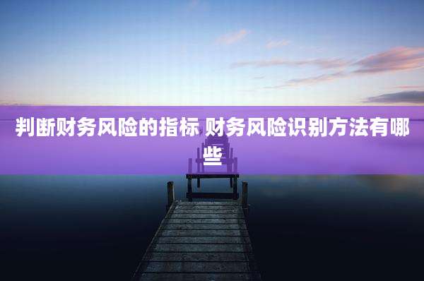 判断财务风险的指标 财务风险识别方法有哪些