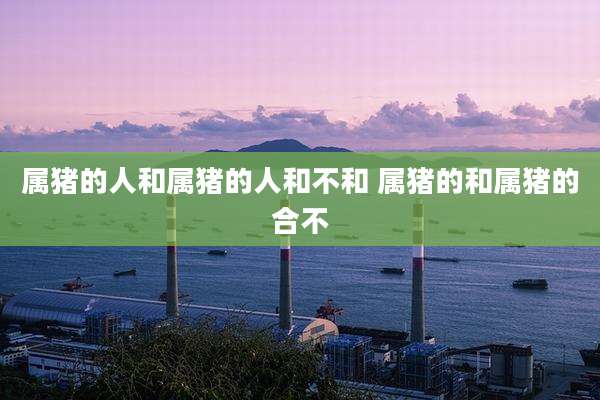 属猪的人和属猪的人和不和 属猪的和属猪的合不