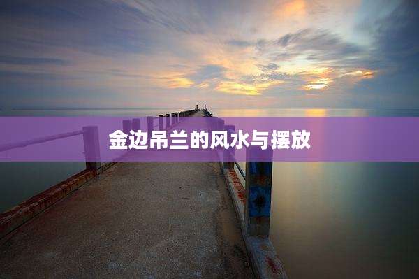 金边吊兰的风水与摆放