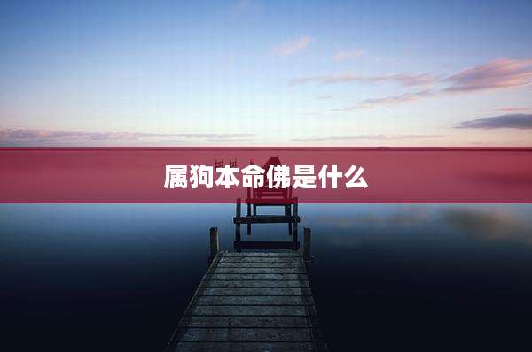 属狗本命佛是什么