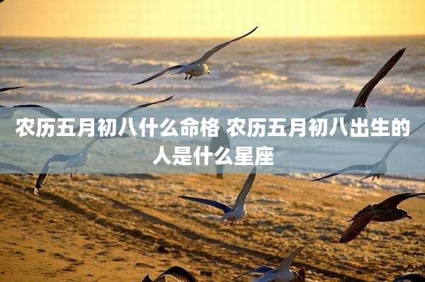 农历五月初八什么命格 农历五月初八出生的人是什么星座