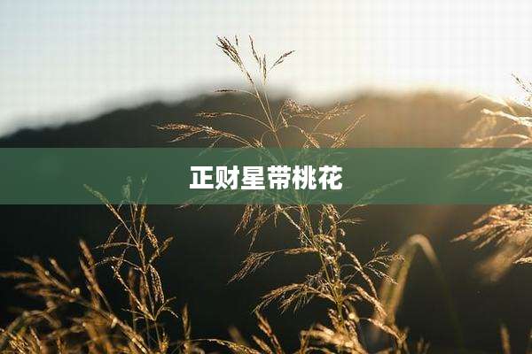 正财星带桃花