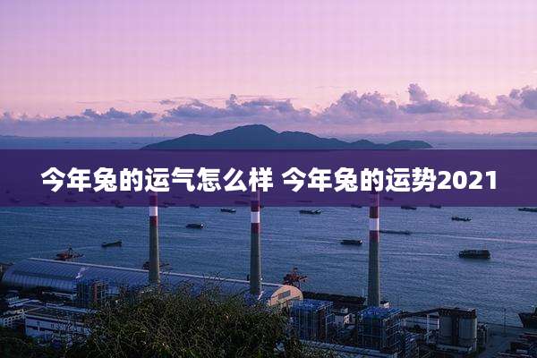 今年兔的运气怎么样 今年兔的运势2021