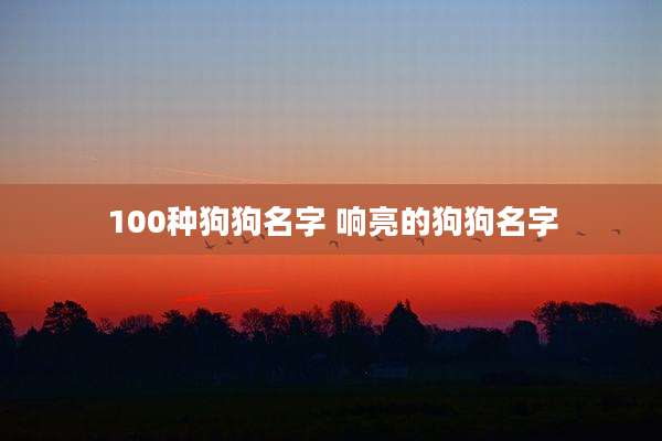 100种狗狗名字 响亮的狗狗名字