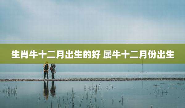 生肖牛十二月出生的好 属牛十二月份出生