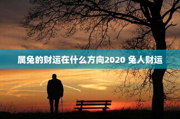 属兔的财运在什么方向2020 兔人财运