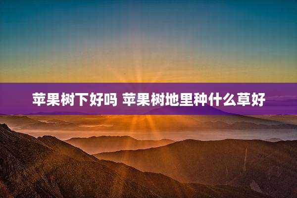 苹果树下好吗 苹果树地里种什么草好