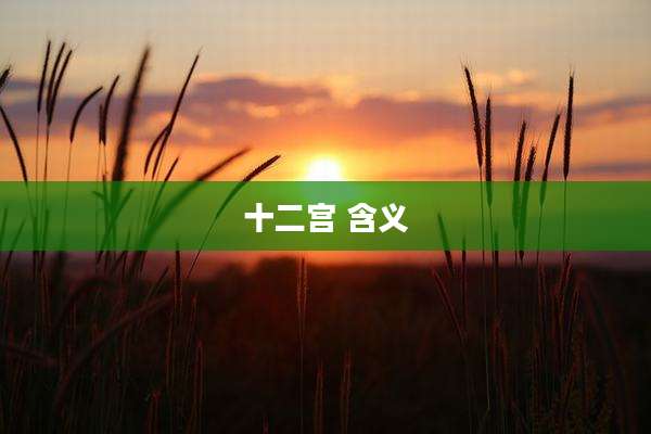 十二宫 含义