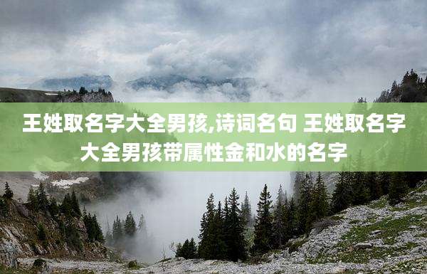 王姓取名字大全男孩,诗词名句 王姓取名字大全男孩带属性金和水的名字