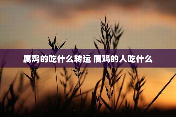 属鸡的吃什么转运 属鸡的人吃什么