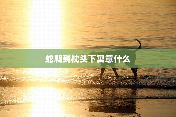 蛇爬到枕头下寓意什么