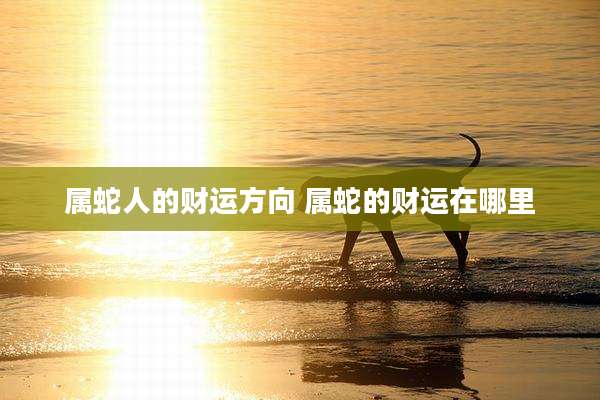 属蛇人的财运方向 属蛇的财运在哪里