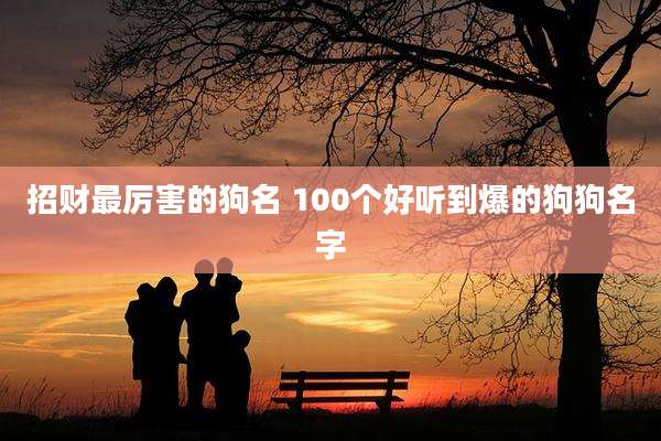 招财最厉害的狗名 100个好听到爆的狗狗名字