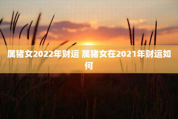 属猪女2022年财运 属猪女在2021年财运如何