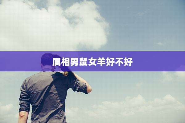 属相男鼠女羊好不好