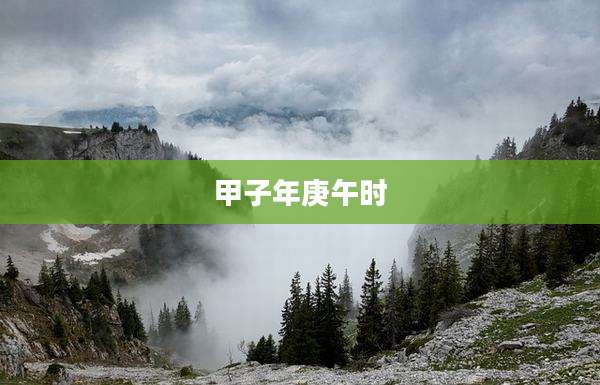 甲子年庚午时