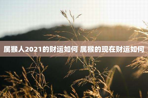 属猴人2021的财运如何 属猴的现在财运如何