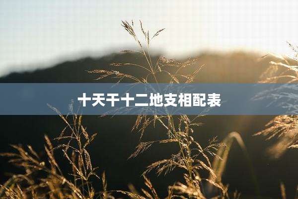 十天干十二地支相配表