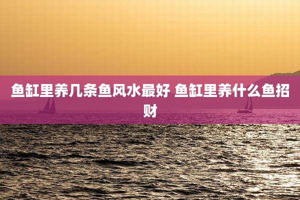 鱼缸里养几条鱼风水最好 鱼缸里养什么鱼招财