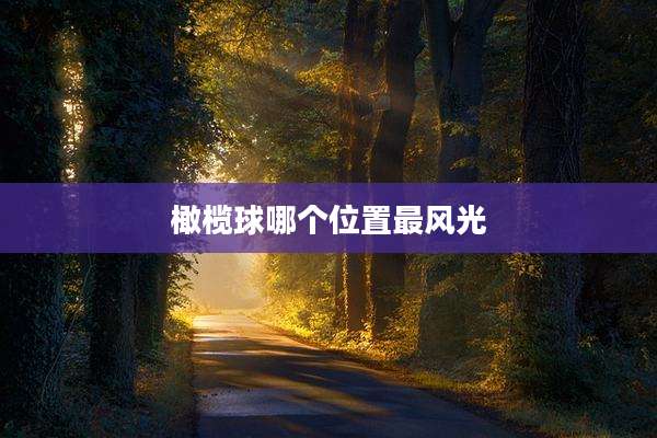 橄榄球哪个位置最风光