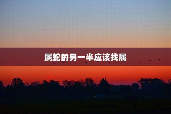 属蛇的另一半应该找属