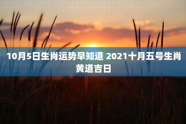 10月5日生肖运势早知道 2021十月五号生肖黄道吉日