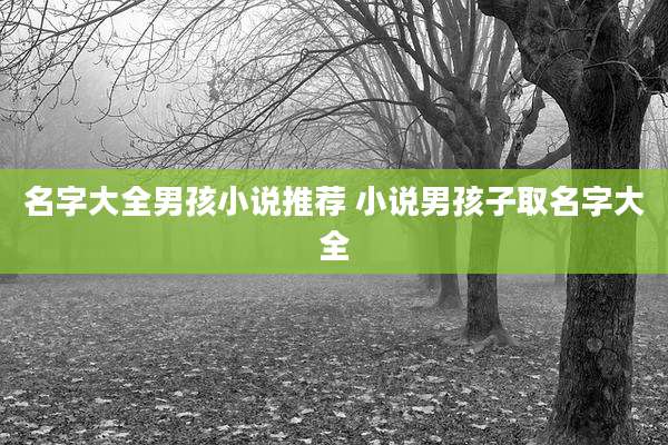 名字大全男孩小说推荐 小说男孩子取名字大全