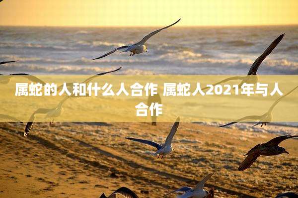 属蛇的人和什么人合作 属蛇人2021年与人合作